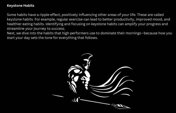 The Superior Men High Performance Habit Blueprint - Image 3